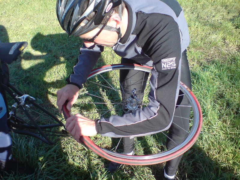 ../Images/0032 dsc00558.jpg